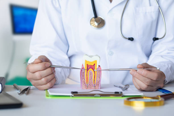 Best Pediatric Emergency Dentist in Flippin, AR